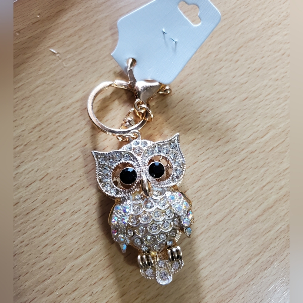 Owl Turquoise Rhinestone Studded Keychain - Picture 2 of 4